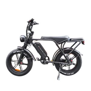 Electric Mountain Bicycle with Placement in Management Contract